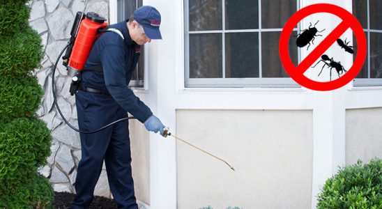 Karaburun Böcek İlaçlama böcek ilaçlama ve haşere kontrolü — ilaclama-tr.com